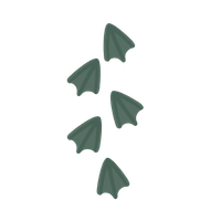 Explore the South Hams from Stoke Lodge Hotel